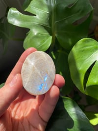 Image 2 of Moonstone Palm Crystal (3)
