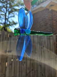 Image of Fused Dragonfly