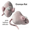 Grampa Rat