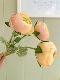 Image 1 of Luxury Soft Peach Ranunculus ( 3 Sprays )