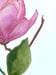 Image of Original floral watercolor painting,  living room wall art