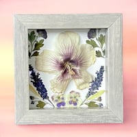 Image 2 of Hibiscus, Mum, Veronica & Pansy Wildflower Art In 6" X 6" Shadow Box (Item# 202304S)