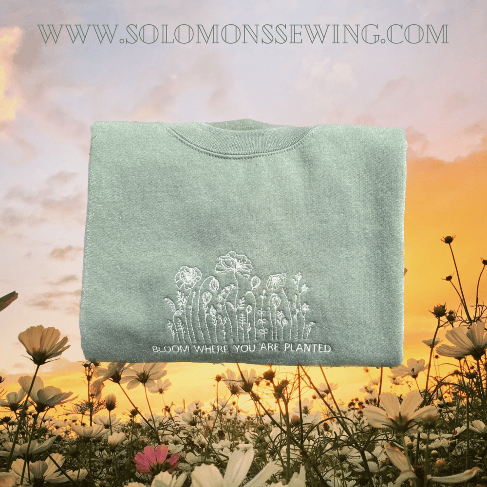 Image of Bloom where you are