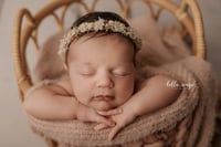 Image 1 of Stretch Tieback 78