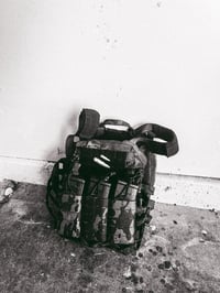 Image 2 of 4/20 PINNER