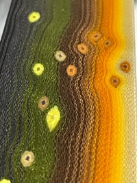 Image 5 of Bull Trout V2 by Mikie