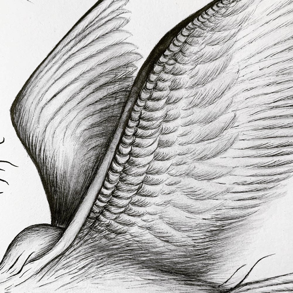 Image of Moonlit Heron 