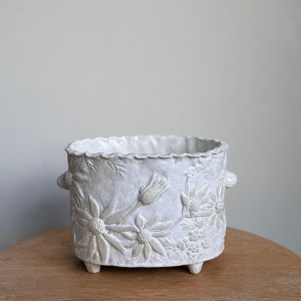 Image of Australian Native Anna Cachepot (4263)