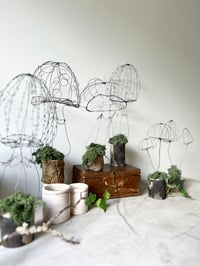 Image 3 of Wonderful Wire Mushroom Sculptures