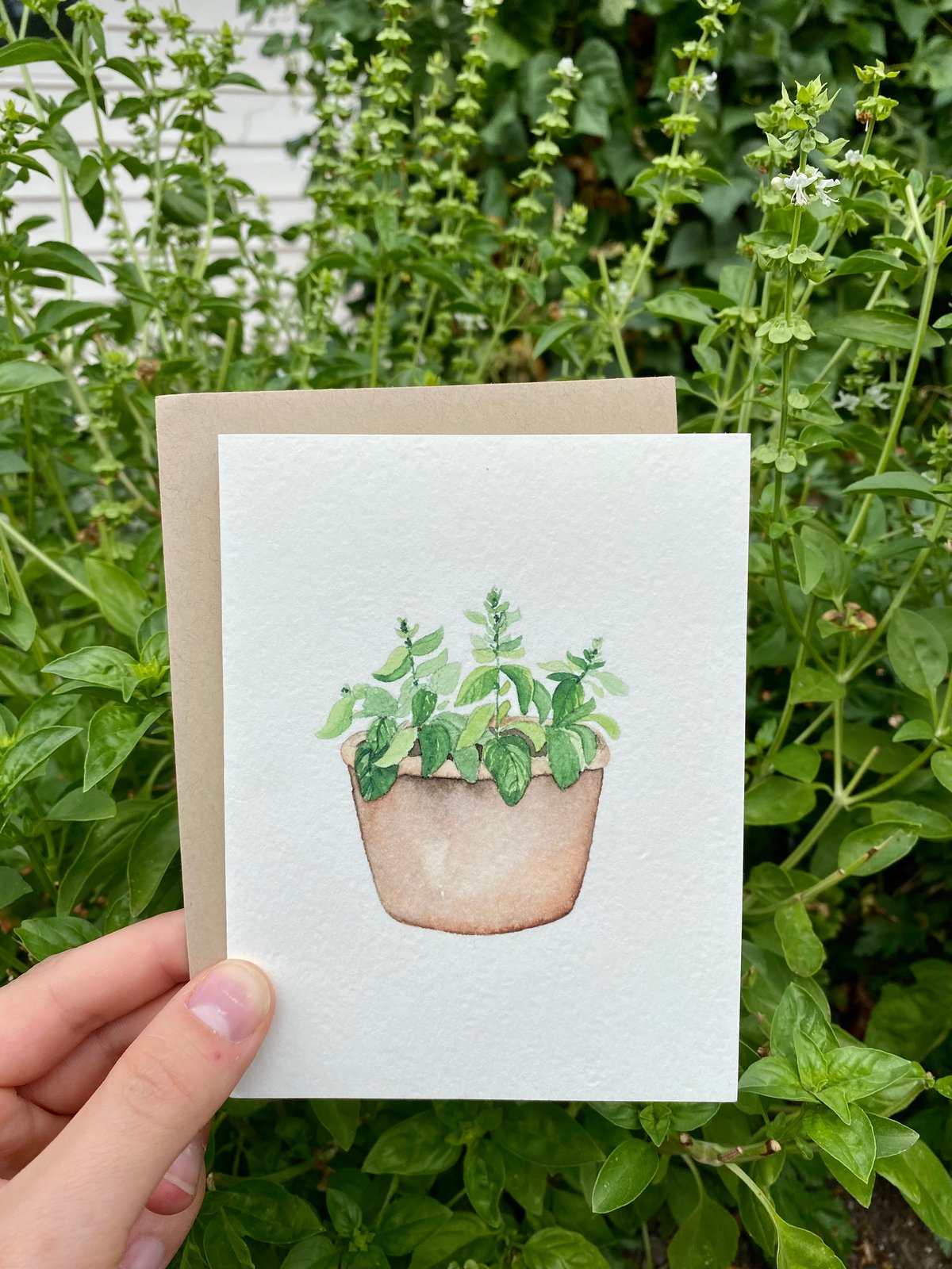 Image of Basil Greeting Card