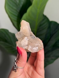 Image 3 of BOWTIE STILBITE X DIAMOND APOPHYLITE -INDIA- B