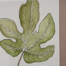 Image 3 of £50 originals - Fig watercolour