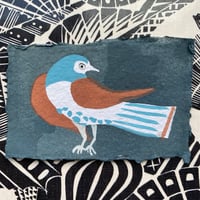 Dove i