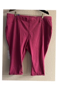 Image 4 of New 20W-22W Terra & Sky Fitted Capri Jegging #811*15