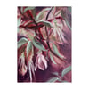 The Last Winter Clematis Flower