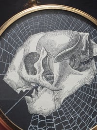 Image 3 of ANTIQUE ANATOMICAL ANIMAL COLLECTION - & Preserved web 1