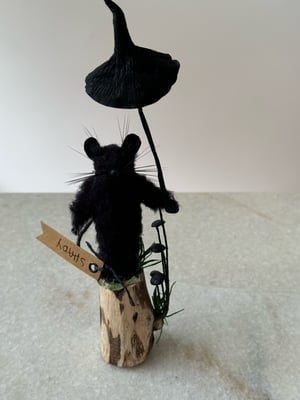 Image of Shady mushroom faux taxidermy mouse