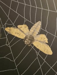Image 7 of Huge Statement Victorain Faceless Spider Girl, Graveyard And Poem With Real Web 