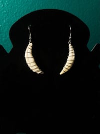 Image 3 of Wire Wrapped Coyote Tooth Earrings