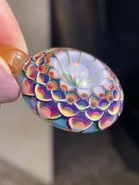 Image 2 of Royal Hyacinth