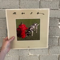 Rush – Signals - U.S First Press LP 