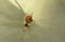 Image of 9k gold & Turmalin Ring