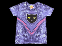 Image 1 of Large Black Cat