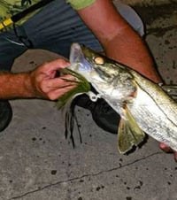 Limited batch: Green Goblin