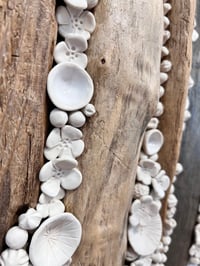 Image 3 of All things Growing Together- Cara O'Brien