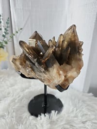 Image 5 of 3.4lb Smoky Quartz Crystal Cluster with Custom Stand