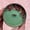 Image of champagne pop or cactus & jade