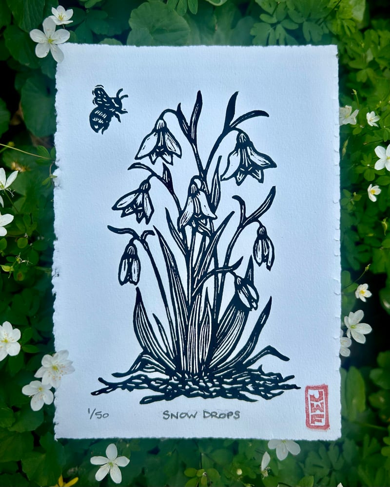 Image of (You Belong) Among the Wildflowers: Monthly botanical series