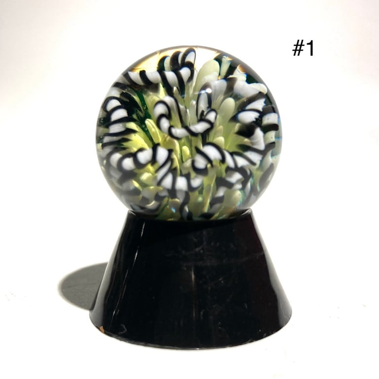 Paradigm Shift Image 9