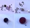 Image of Infusor de tés sueltos con Bola de Cristal 3D y Mariposa