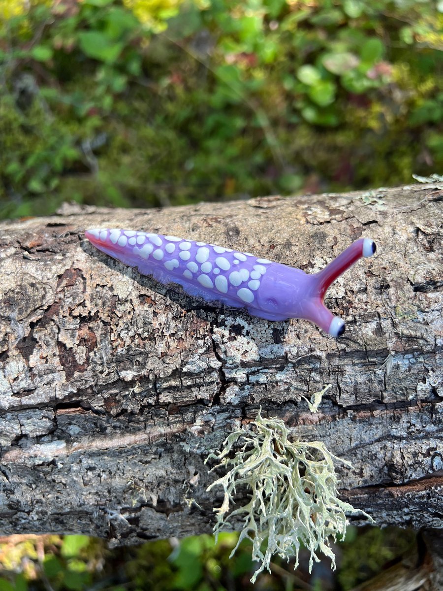 Image of Purple Boro Slug