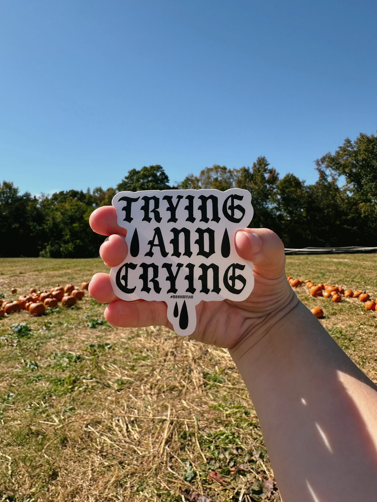 Trying and Crying Sticker 