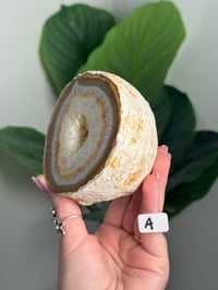 Image 2 of CARNELIAN AGATE GEODE -MADAGASCAR-