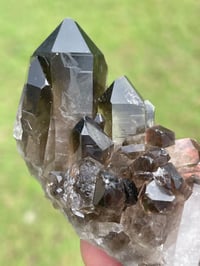 Image 6 of Smoky Quartz Points #1383