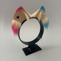 Image 3 of HarleyQuinn Kitten