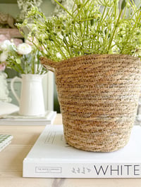Image 1 of Medium Basket Pot
