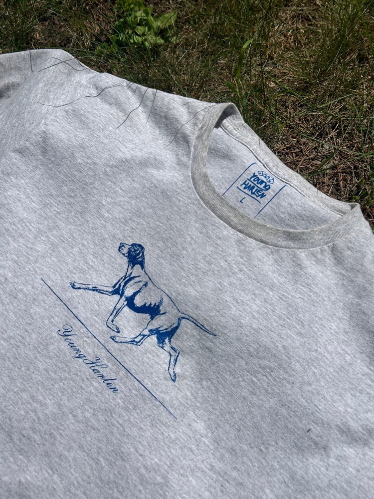 DIAGRAM DOG (low stock)