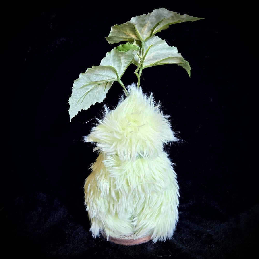 Image of Grun