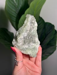 Image 1 of BOWTIE PREHNITE -INDIA- E