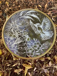 Image 1 of Willy wagtail mirror