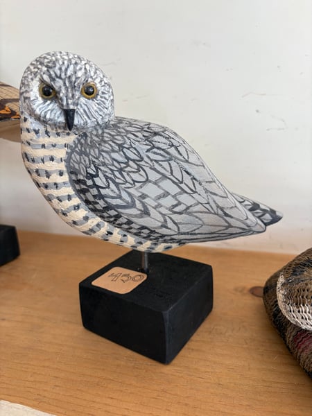 Image of Grey small owl 