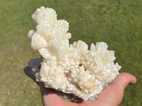 Image 11 of White Calcite Crystal Reef Formation Specimen #1240