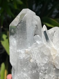 Image 5 of Clear Quartz Points Cluster Statement Piece #2446