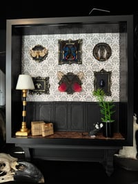 Image 2 of Multi specimen gallery wall