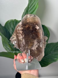Image 1 of XL SMOKEY RUTILE IN QUARTZ CLUSTER ON STAND A