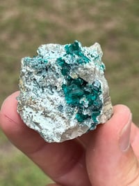 Image 3 of Dioptase On Matrix Specimen #2618